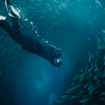 underwater photography ventana travel