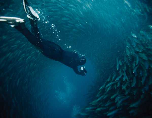 underwater photography ventana travel