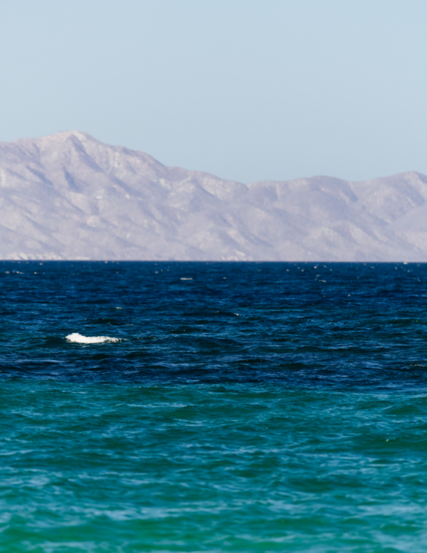sea of cortez islands ventana travel