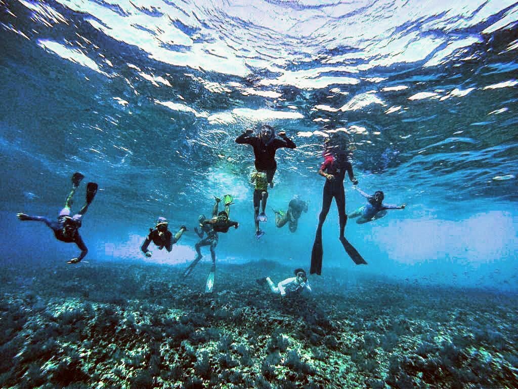 Group snorkel day in Baja Sur