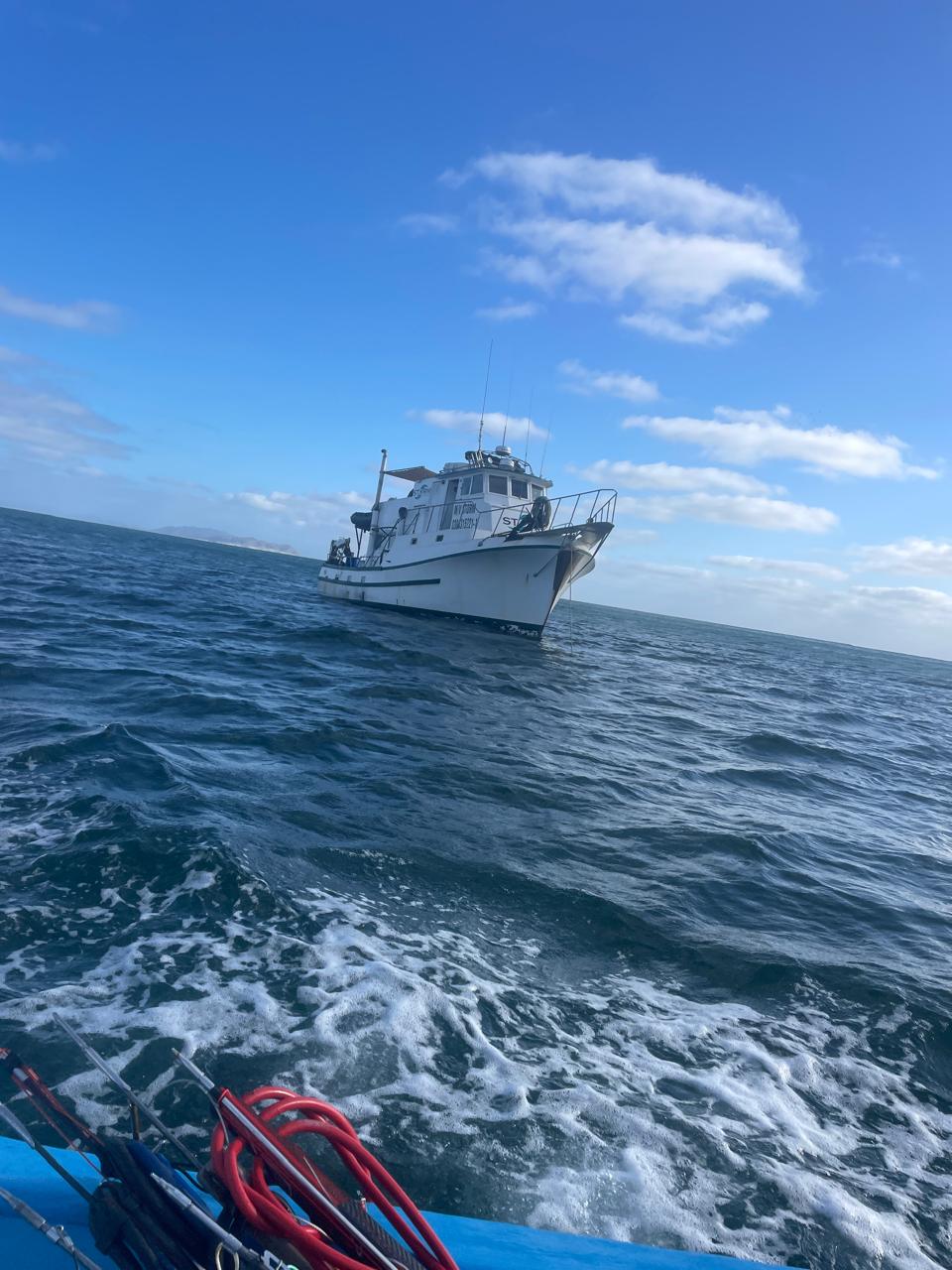 Magdalena Bay liveaboard action on the Pacific side