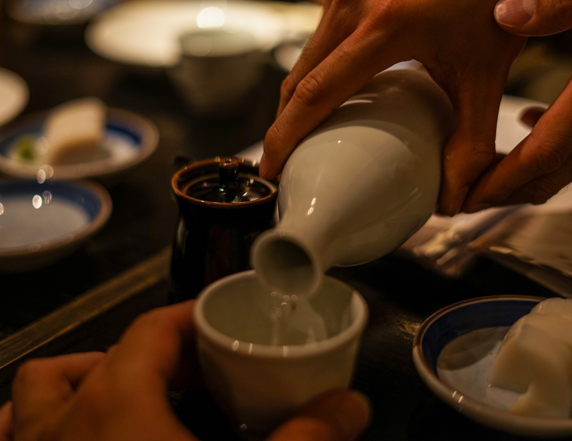 Sake tasting on board catamaran